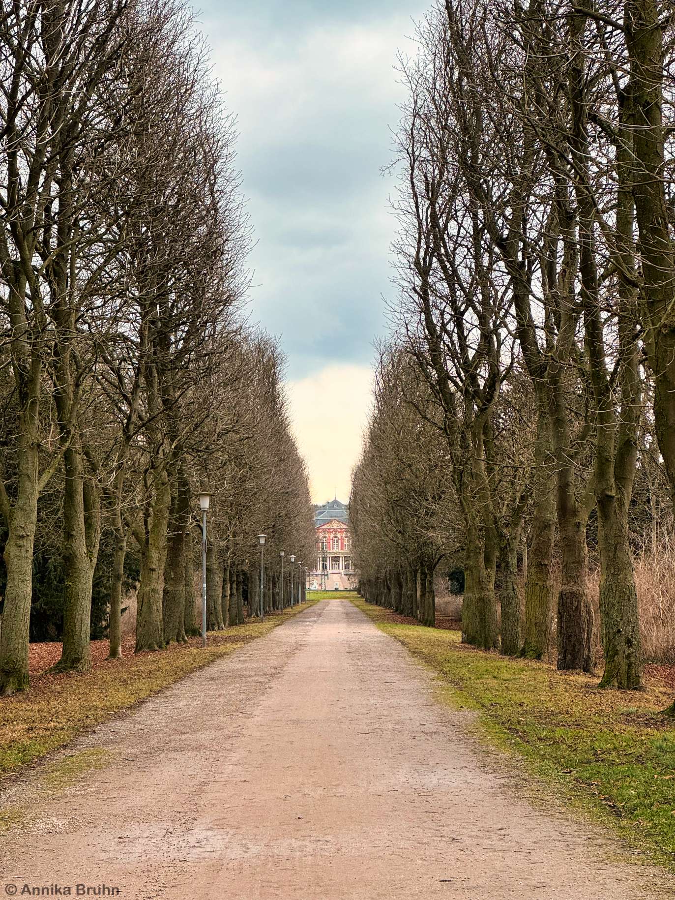 Allee zum Schloss Bruchal